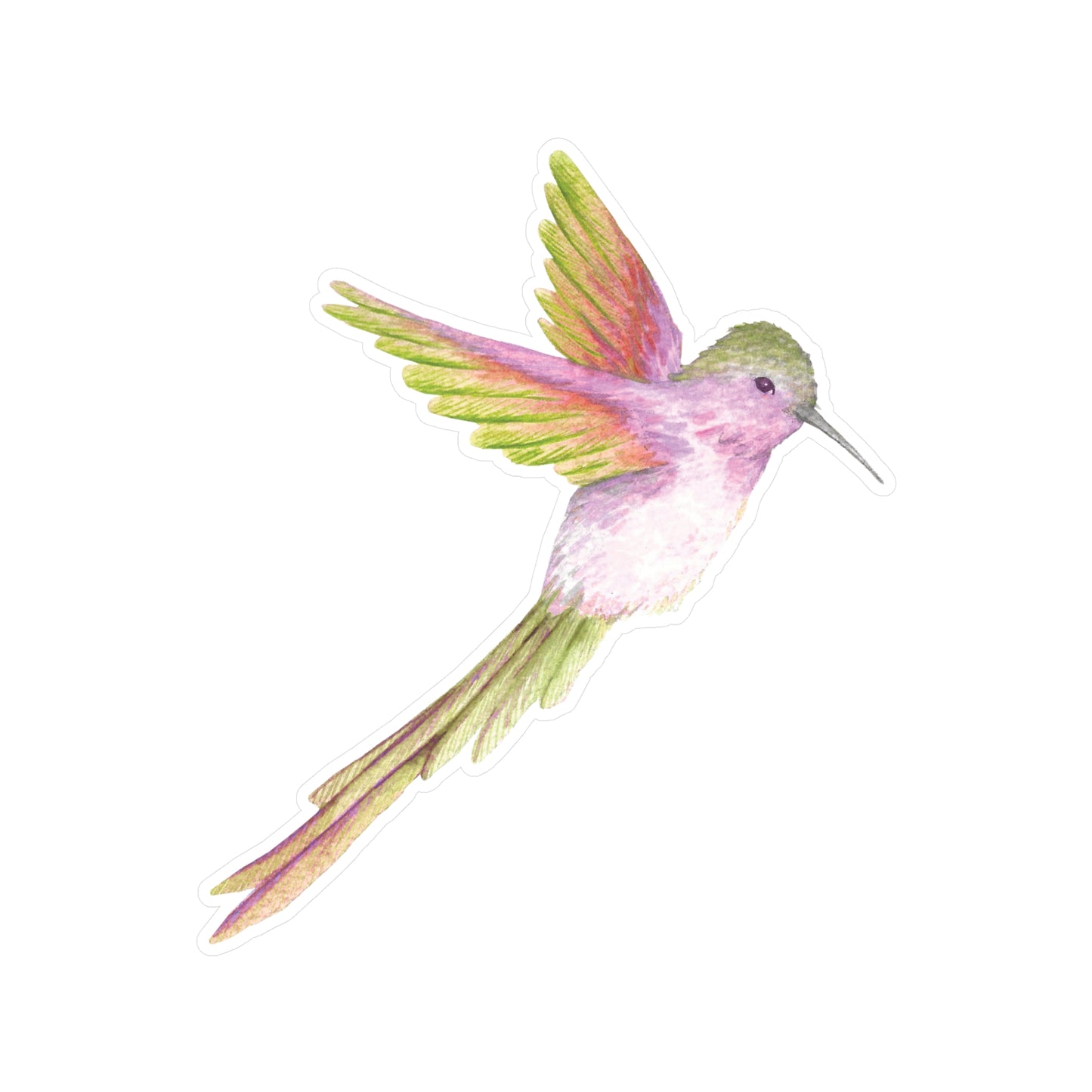 Humming Bird Kiss-Cut Vinyl Decal